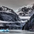 Tracy Arm Fjord 4