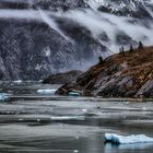 Tracy Arm Fjord 6