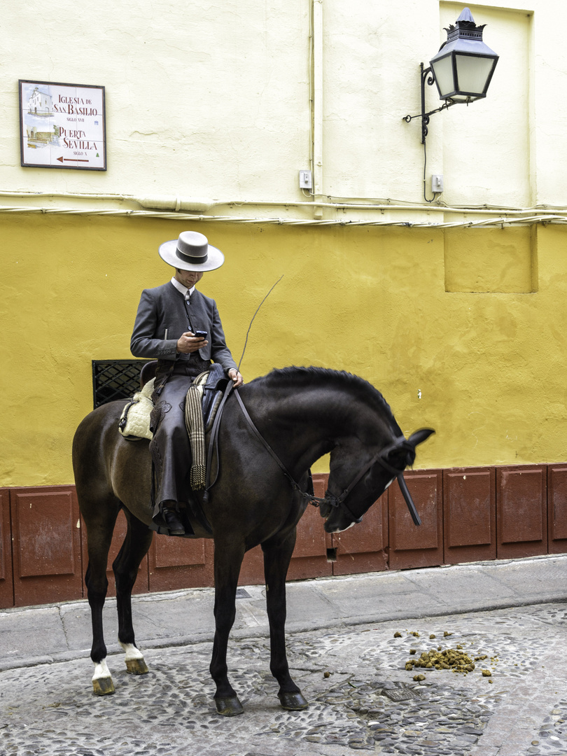 Tradición y modernidad