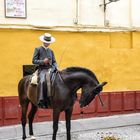 Tradición y modernidad