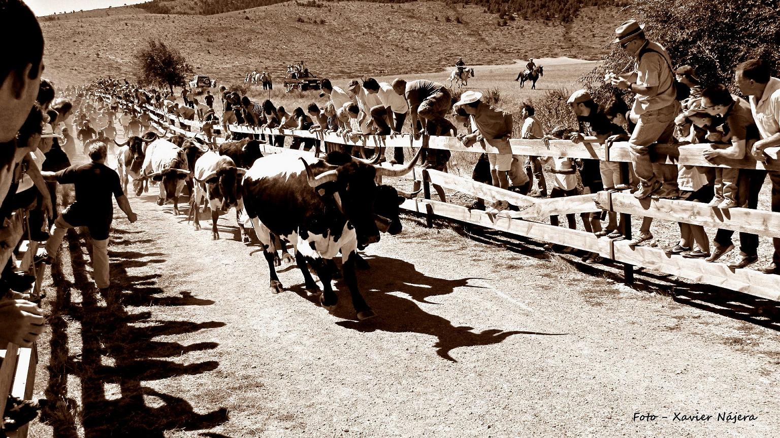 Tradiciones de un pueblo para deleite de la comarca.