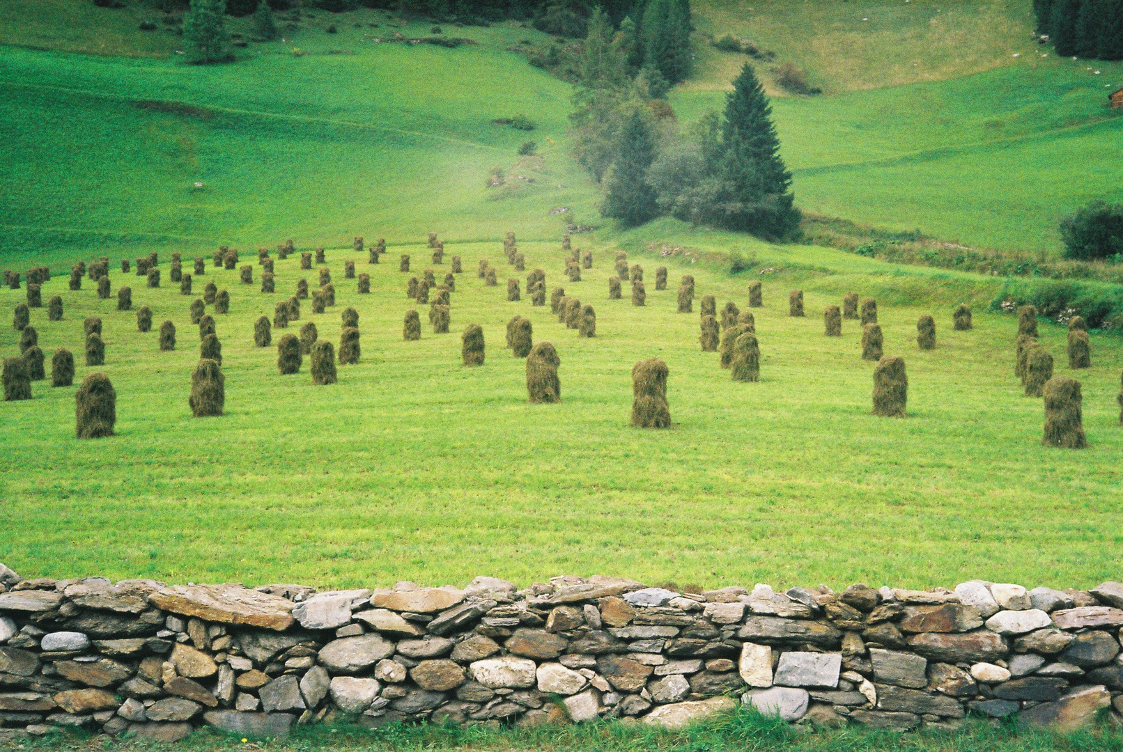 tradition hochgehalten in innervillgratten a