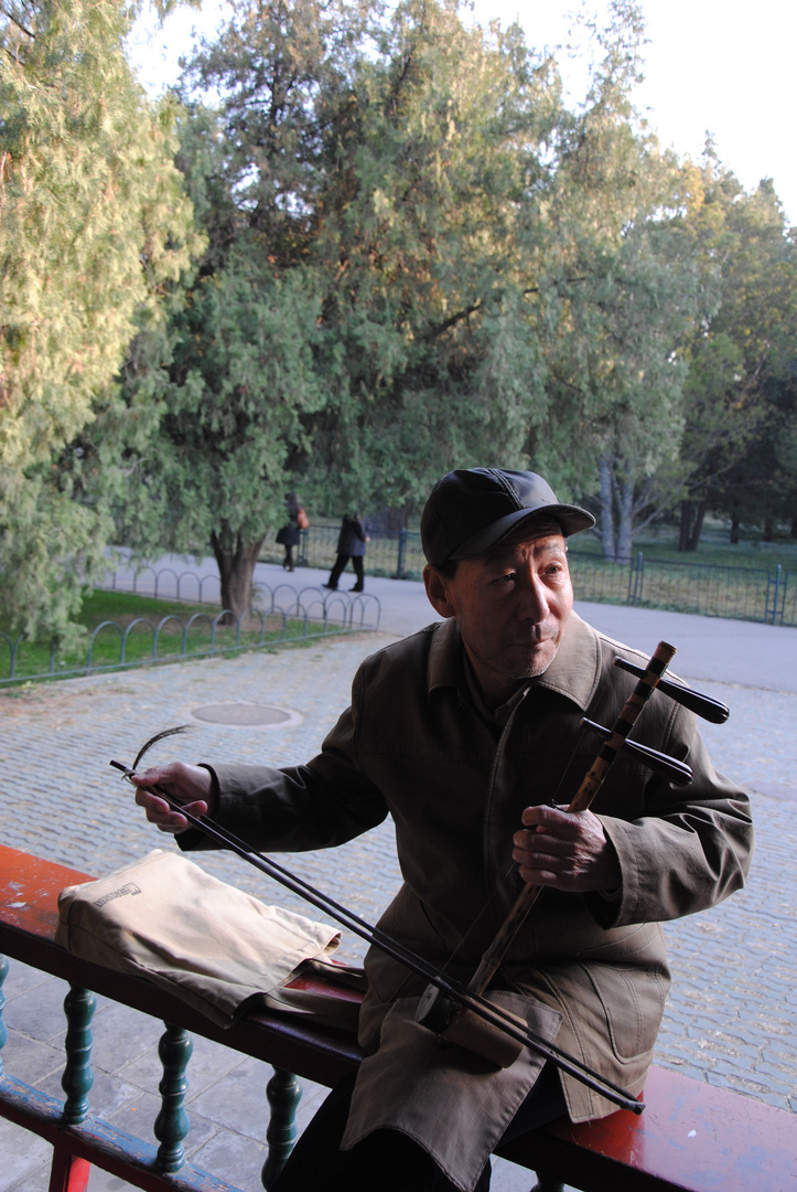 Traditional Chinese Musican....