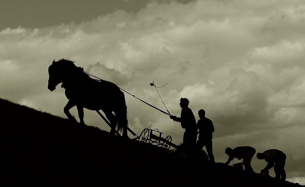 Traditional farming