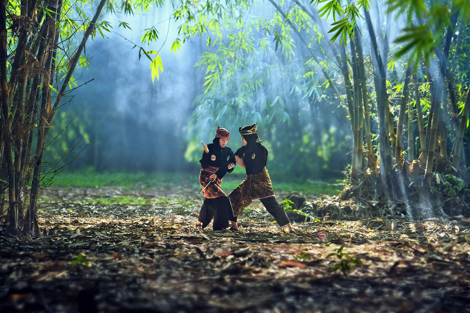 Traditional Martial Art