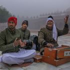 Traditional Musicians