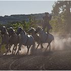 traditionelle Reitkunst