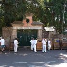 Traditionelle Schlittenabfahrt von Monte nach Funchal