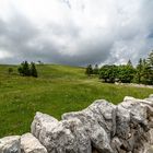 Traditionelle Steinmauer im Schweizer Jura