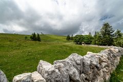 Traditionelle Steinmauer im Schweizer Jura