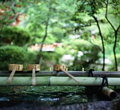 Traditionelle Wasstränke bei einem Tempel von Kyoto