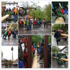 Traditionelles Maibaum Aufstellen in Lenggries