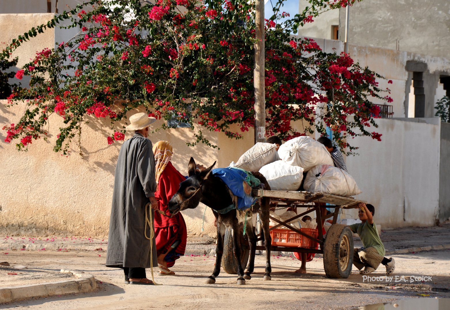 Traditionelles Tunesien (Djerba)