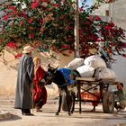 Traditionelles Tunesien (Djerba)