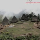 Traditioner Dorf Waerebo,Manggarai Flores Indonesien