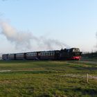 Traditionsbahn "Molli" am Haltepunkt "Sanddornstrand"