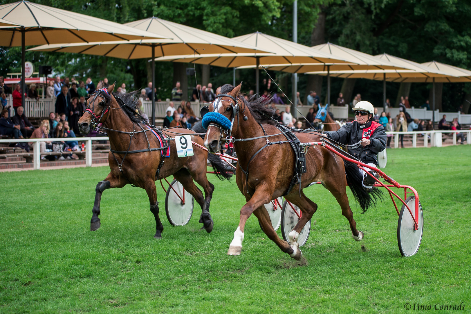 Traditionsrenntag in Rastede 2012 III