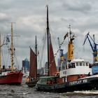 Traditionsschiffe auf der Elbe ()