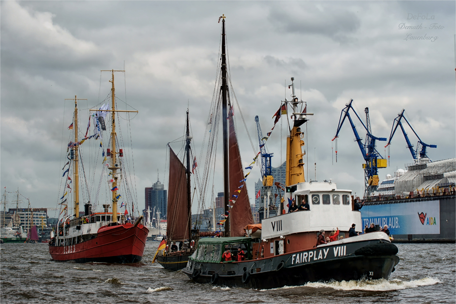 Traditionsschiffe auf der Elbe ()