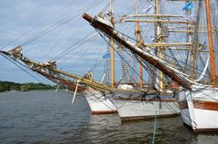 Traditionssegler liegen zur Hanse Sail 2014 im Rostocker Stadthafen