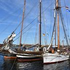 Traditionssegler zur Hanse Sail 2017