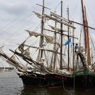 Traditionssegler zur Hanse Sail 2018 in Rostock