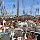 Traditionssegler zur Hanse Sail 2019 in Rostock