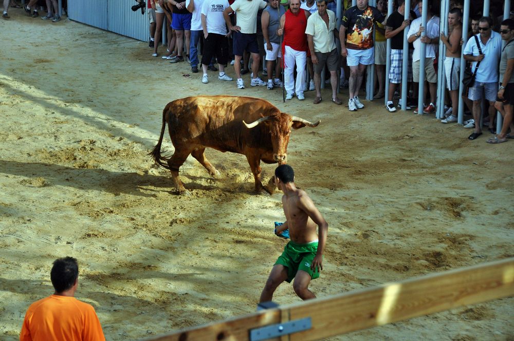 Tradition:Stiertreiben