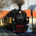 Traditionszug der HSB mit Mallet Lokomotive 99 5906-5