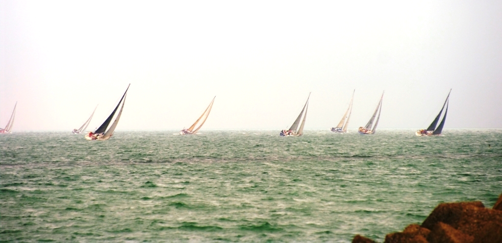 Tradizionale regata internazionale  Pesaro- Rovigno .