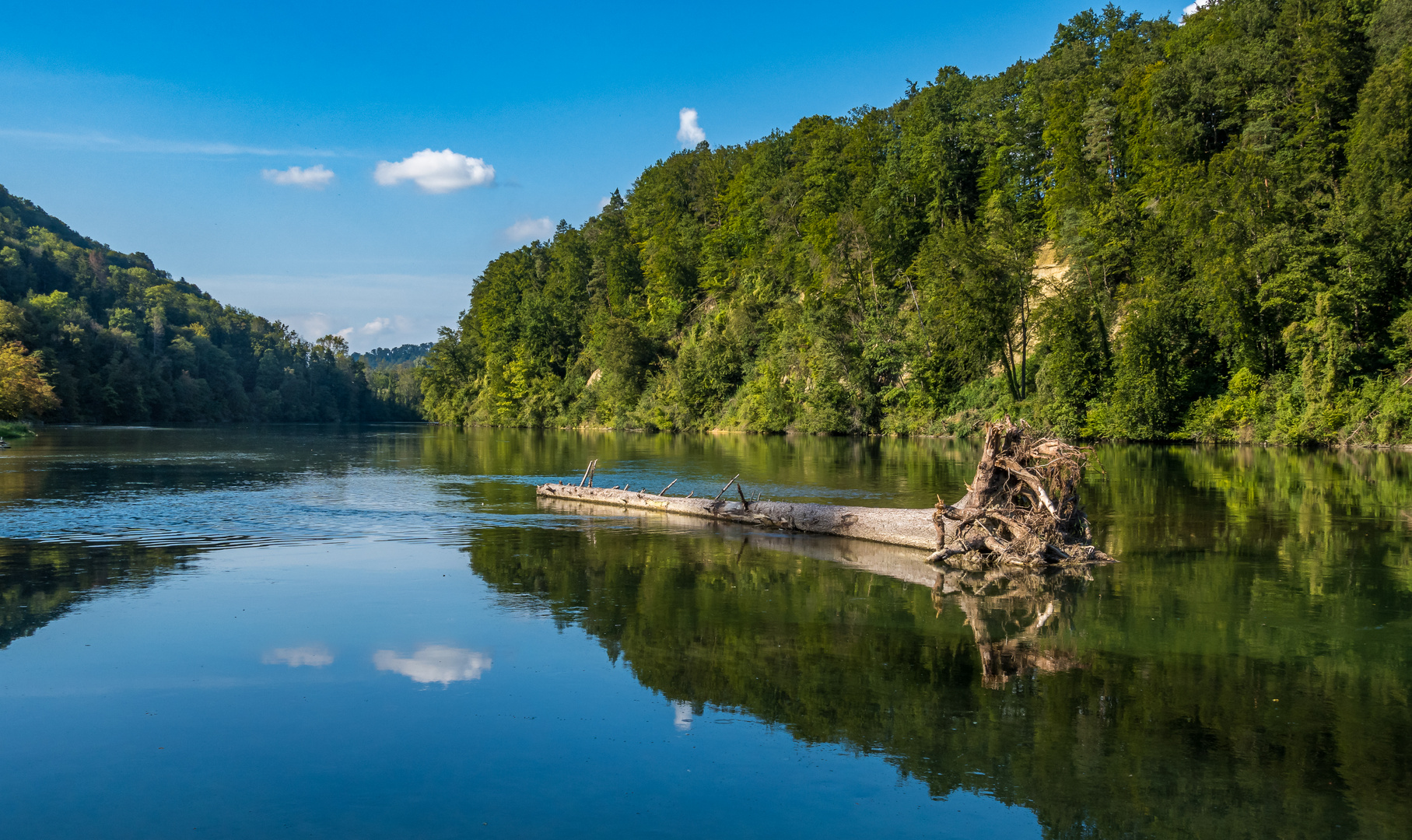 träge fliessender Rhein