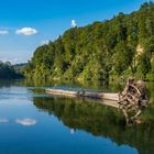 träge fliessender Rhein