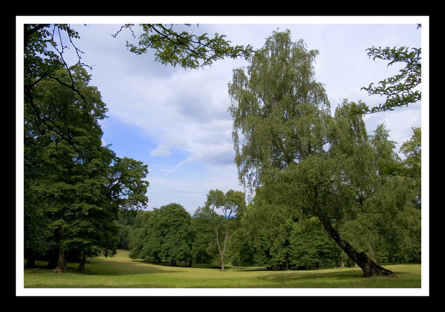 träge Parkstimmung