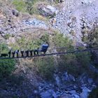 Träger Annapurna Circuit