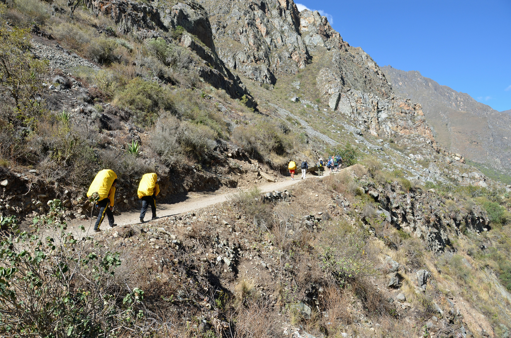 Träger auf dem Inka-Trail in Peru