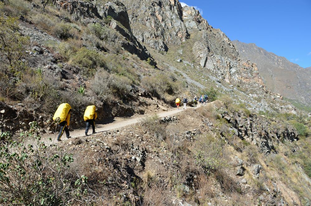 Träger auf dem Inka-Trail in Peru