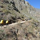 Träger auf dem Inka-Trail in Peru