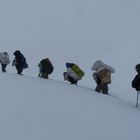 Träger im Tiefschnee