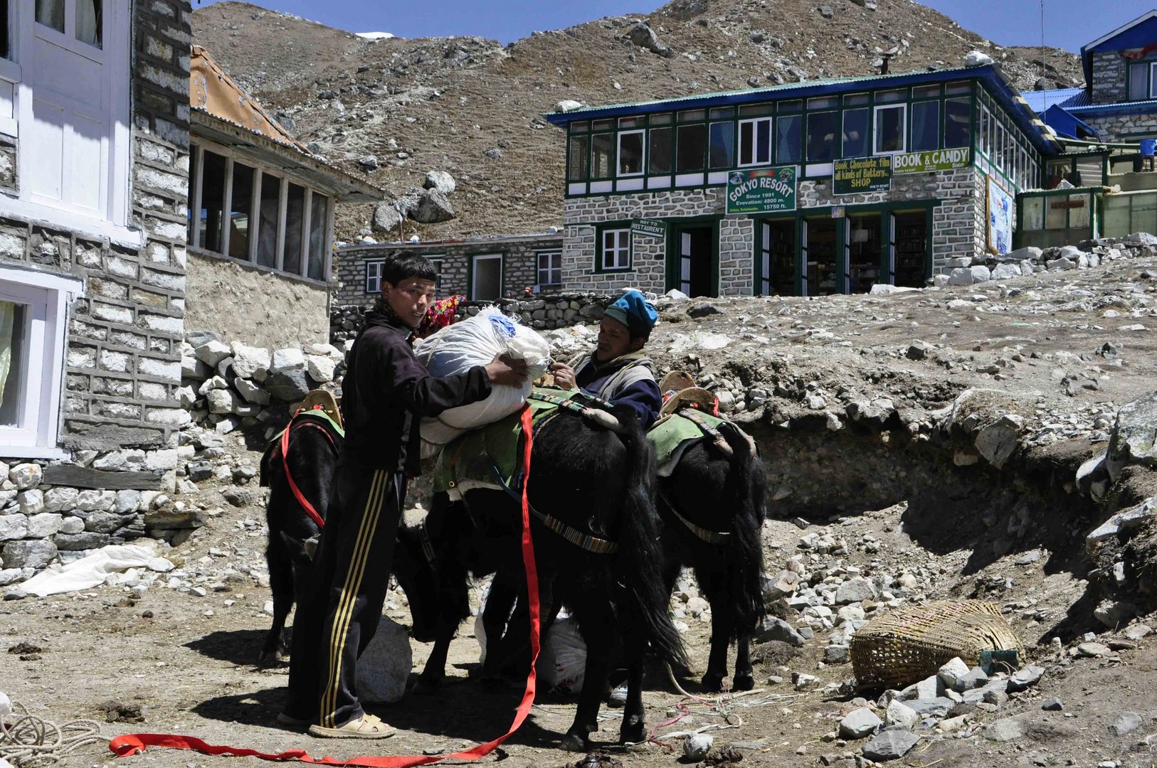 Träger in Nepal