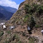 Trägerkolonne Annapurna Circuit