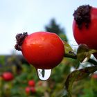 Tränen beim Abschied vom Sommer