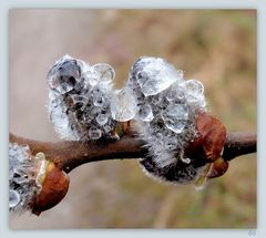 .... Tränen des Winters....