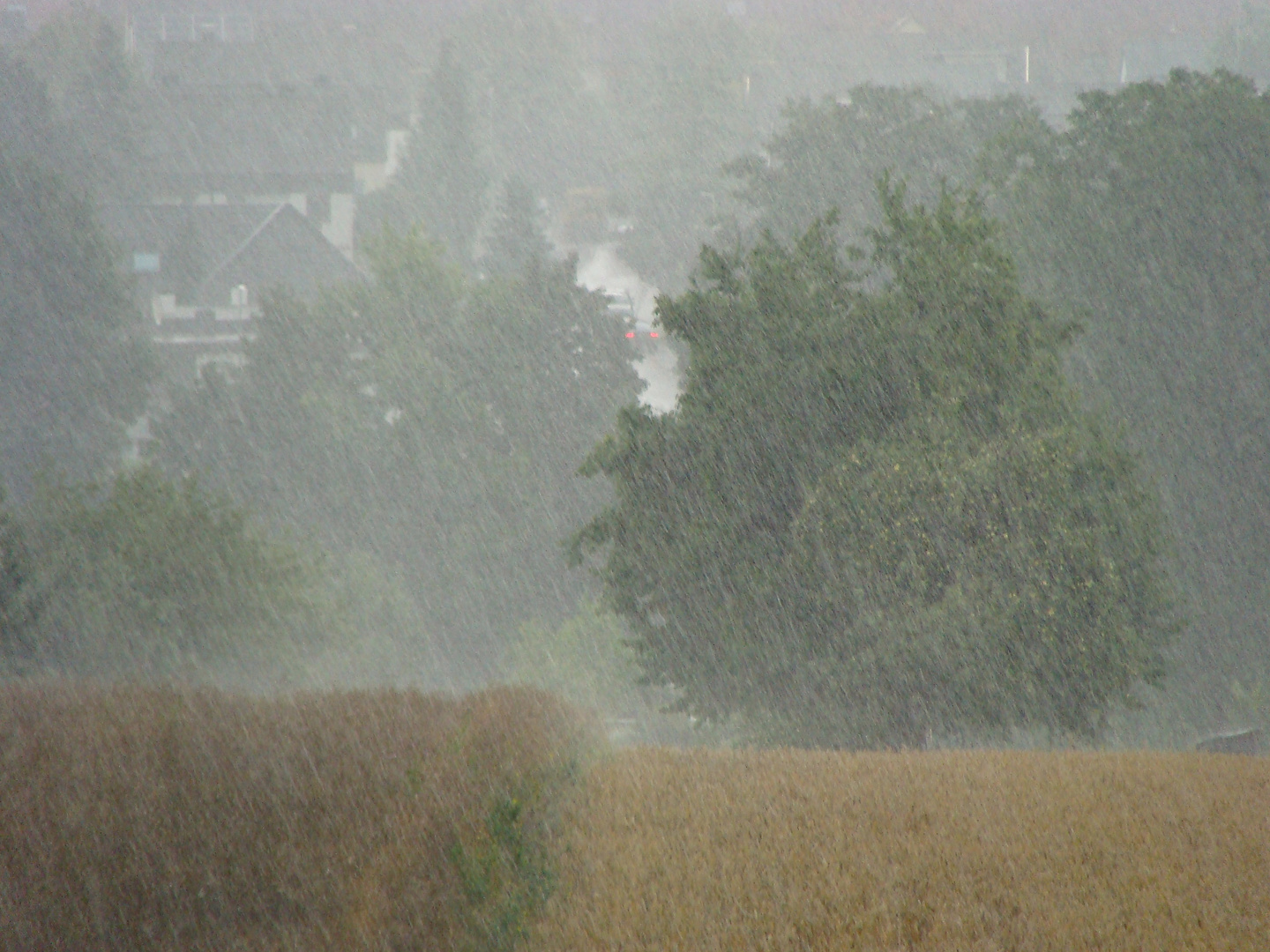 Tränen im Regen