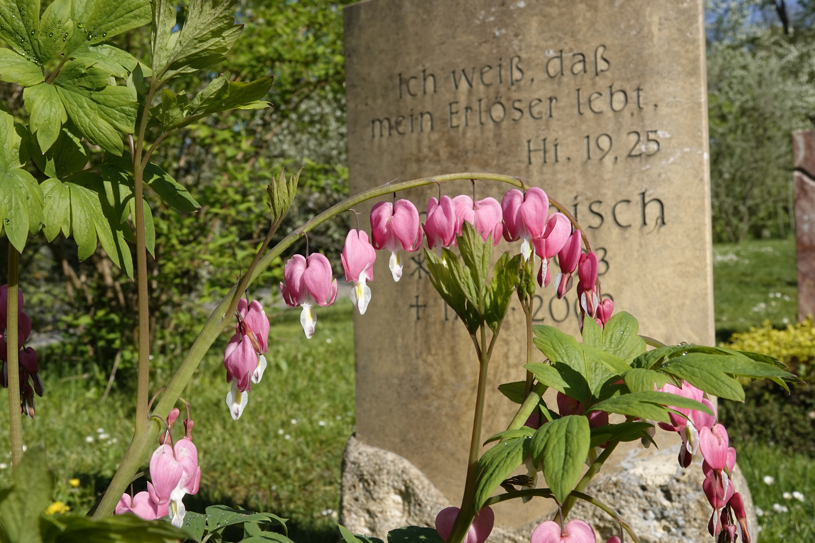 "Tränendes Herz..., trotz Zuversicht..."