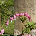 "Tränendes Herz..., trotz Zuversicht..."