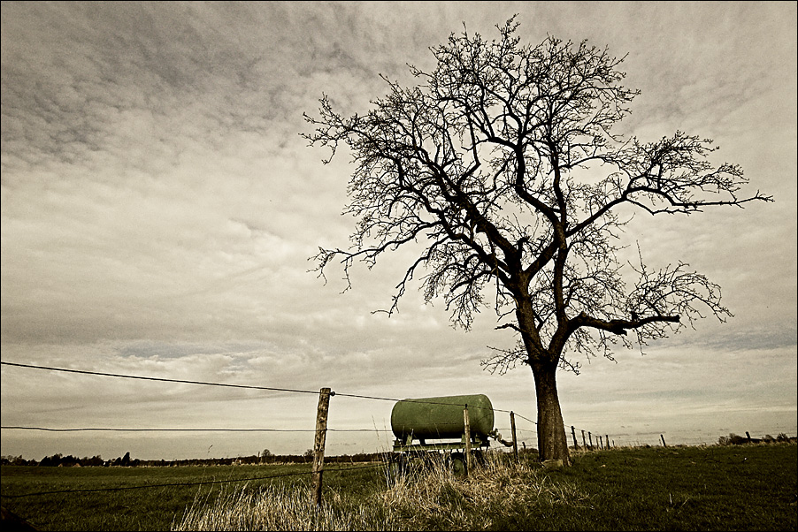 Tränke mit Baum [2]