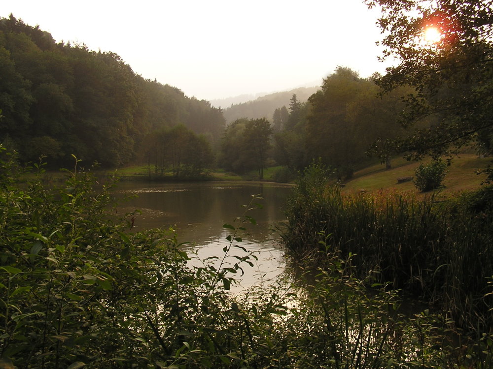 Träufelbachsee Gernsbach