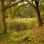 Träume am See