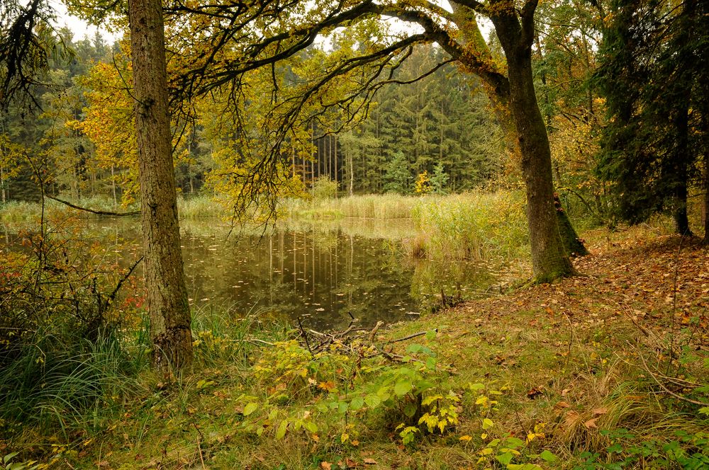 Träume am See