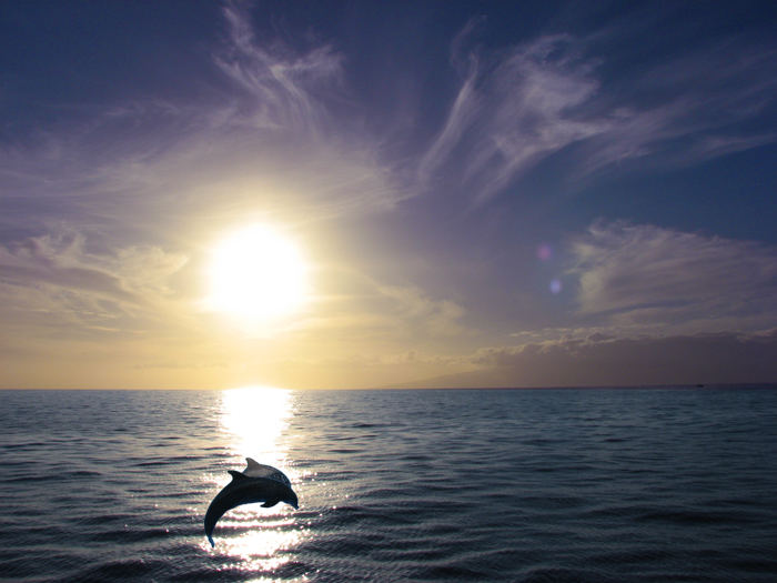 Träume auf dem Meer